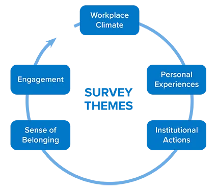 Survey themes: workplace climate, personal experiences, institutional actions, sense of belonging, health and well-being, and engagement