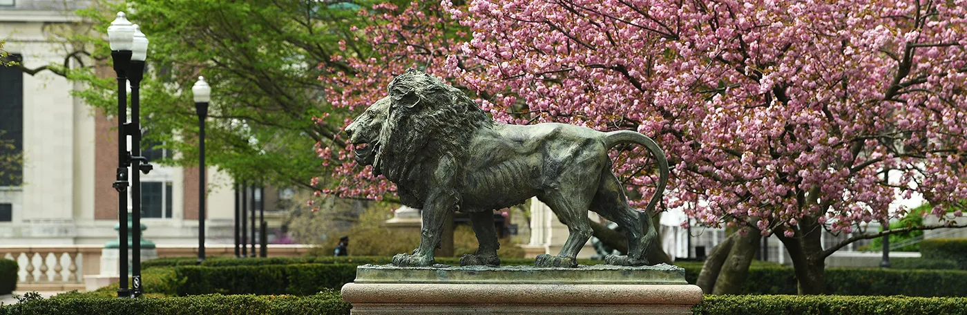Lion statue on Columbia's campus. 